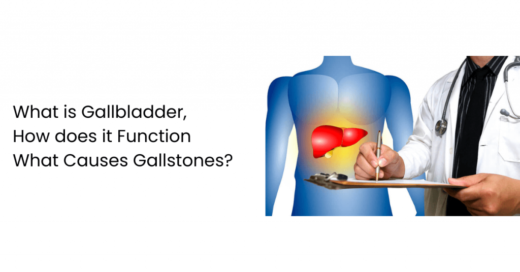 Gallbladder