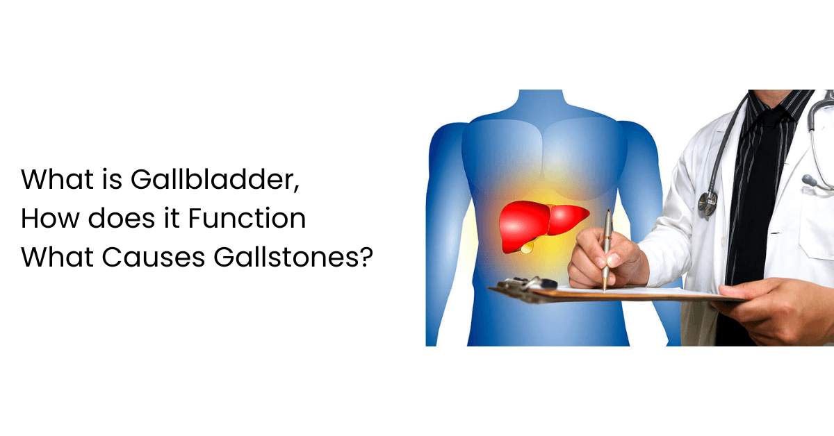 What is Gallbladder, How does it Function and What Causes Gallstones?