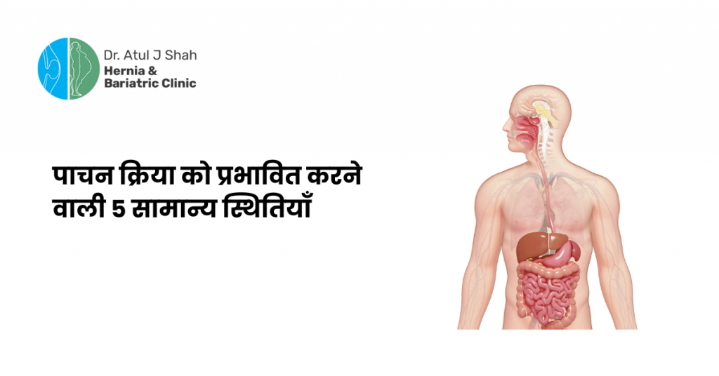 पाचन क्रिया